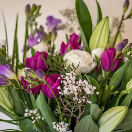 Beck Allans 酒店 4*